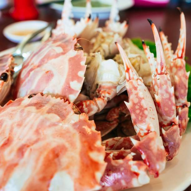 istock Seafood - steamed crab in a plate 1467436838