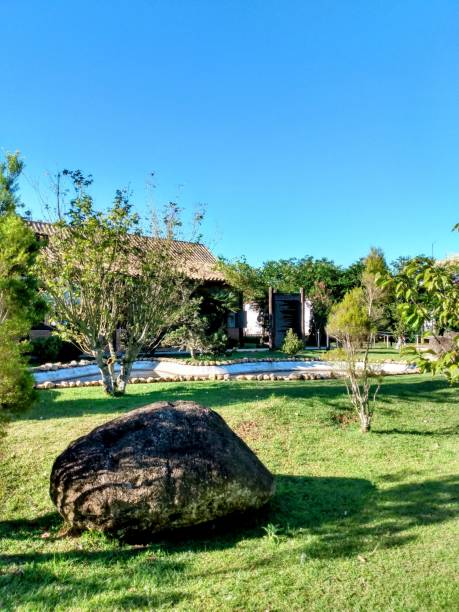istock Public park with grass and a rock 1467437785