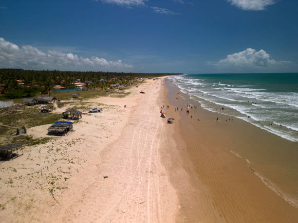 istock Coruripe Beach in Alagoas 1467438327
