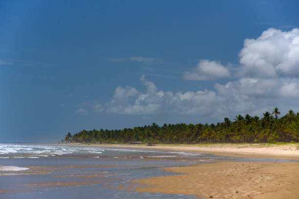 istock Miai de Baixo Beach in Alagoas 1467440485