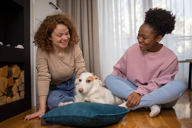 istock Dog and his owners are having fun at home 1467440494
