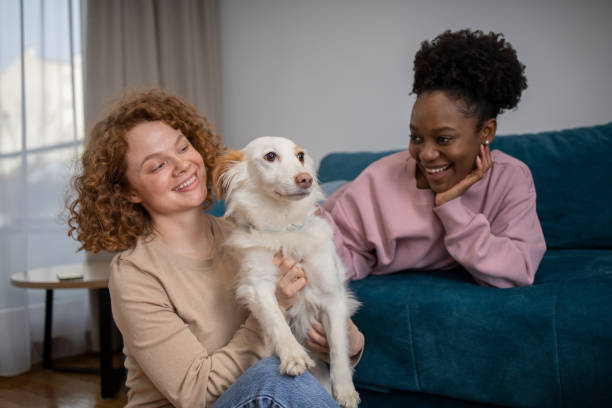 istock Dog and his owners are having fun at home 1467440503