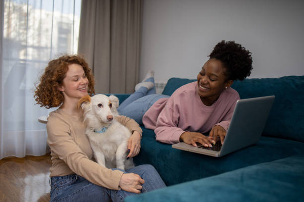 istock Dog and his owners are having fun at home 1467440509