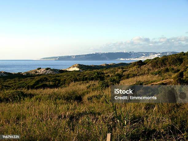 Landscape City Sea Stock Photo - Download Image Now - Agricultural Field, City, Grass