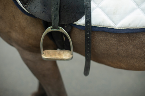 Saddle on horseback. Horse in detail. Steel foot stirrups. Equipment for rider.