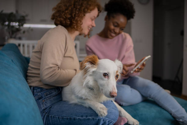 istock Happy two friends are spending time together at home. 1467449628