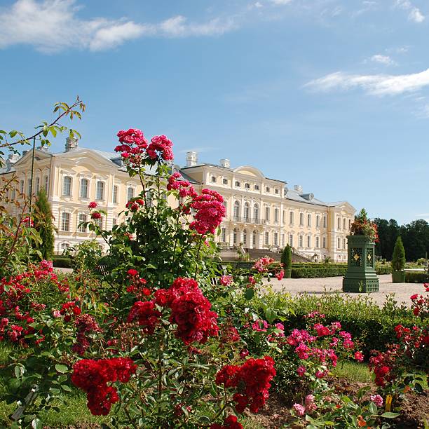 istock Beautiful roses and Baroque - Rococo style palace in background 146745626