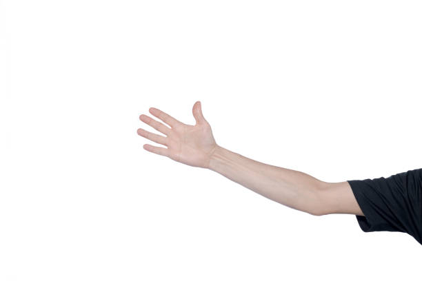 istock Palm of an open hand with outstretched arm on white background. 1467456703
