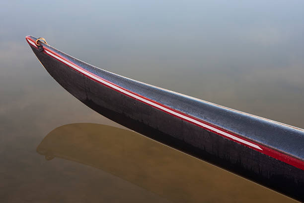 Women rowing team