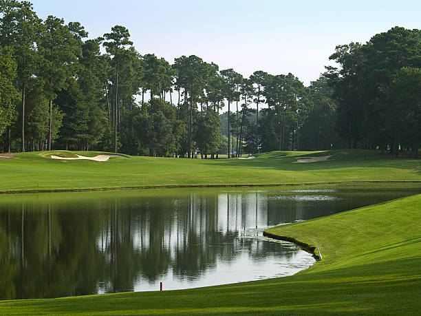 Course Pond A beautiful pond on a Myrtle Beach golf course in South Carolina. south carolina photos stock pictures, royalty-free photos & images