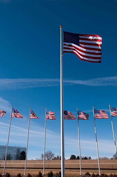 istock American Flags Blowing in the Wind 146746463
