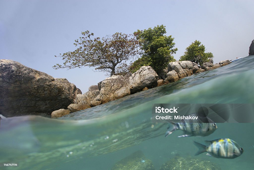 Two worlds Underwater world with two fishes and coast Activity Stock Photo