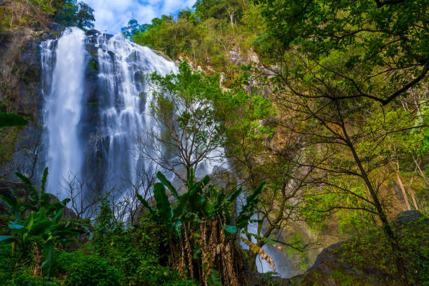 istock Khlong Lan Waterfall in the rainforest 1467475399