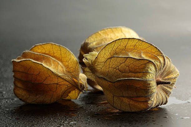 istock Close-up of physalis on grey blurry background 146748082