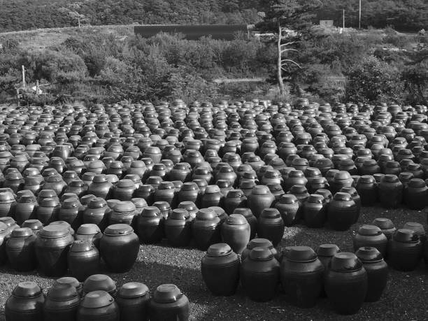 All traditional jar for food in Korea