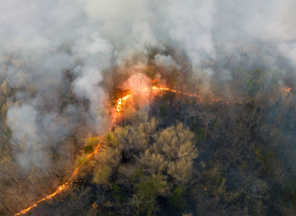 Wildfires release carbon dioxide (CO2) emissions and other greenhouse gases (GHG) that contribute to climate change and global warming. stock photo