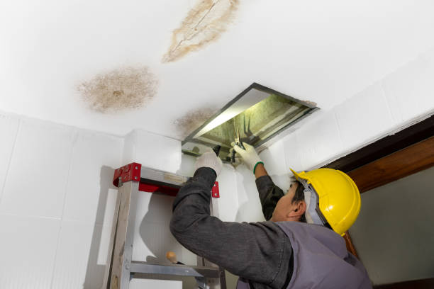 istock Worker fix leaking pipe in ceiling ,close-up of a stain on the ceiling. 1467483830
