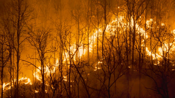 Climate change, Wildfires release carbon dioxide (CO2) emissions and other greenhouse gases (GHG) that contribute to climate change and global warming. stock photo