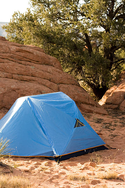 istock Campsite with Tent in Desert 146748445