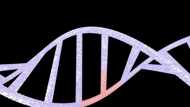 CRISPR Gene Editing