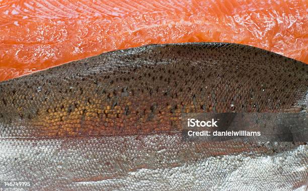 Foto de Peixe Truta De Fundo e mais fotos de stock de Salmão Vermelho - Salmão Vermelho, Abstrato, Alimentação Saudável