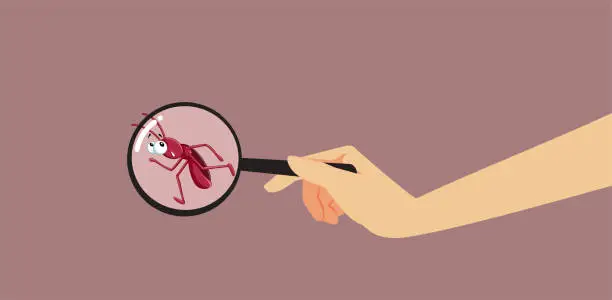 Vector illustration of Hand with Magnifying Glass Discovered a Scared Cockroach Vector Illustration