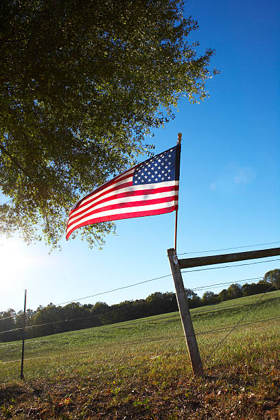 istock American Flag on fence post 146749507