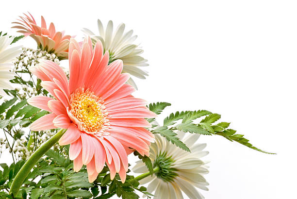 floral arrangement stock photo