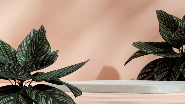 istock 3d rendering mockup scene green terrazzo podium in landscape with pink stripe caladium 1467496858