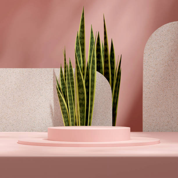 istock Pastel pink podium 3d rendering scene with snake plant and terrazzo backdrop in square layout 1467497117
