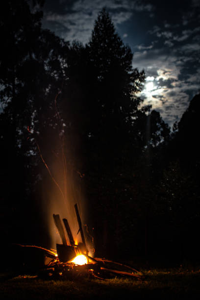 istock Campfire in the middle of the forest with the moon 1467497462