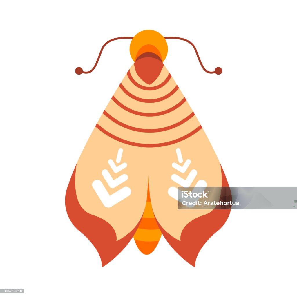 Stock Image Insect Vector Moth Isolated Brown Moth Vector Illustration Stock Illustration - Download ...
