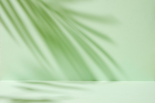 Abstract tropic mint-colored background with soft palm tree shadows like a mockup or product presentation template. High quality photo