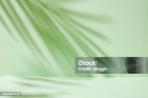 istock Abstract tropic mint-colored background with soft palm tree shadows like a mockup or product presentation template 1467504420