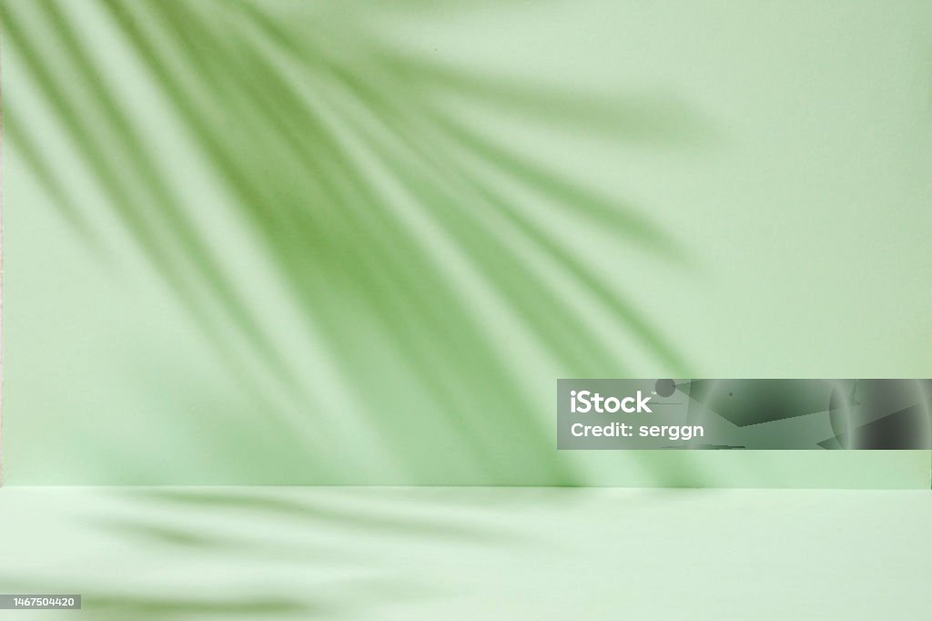 Nền màu bạc hà nhiệt đới trừu tượng với bóng cây cọ mềm mại như mockup hoặc mẫu trình bày sản phẩm - Trả phí Bản quyền Một lần Ảnh nền - Chủ đề Bức ảnh sẵn có Nền màu bạc hà nhiệt đới trừu tượng với bóng cây cọ mềm mại như mockup hoặc mẫu trình bày sản phẩm - Trả phí Bản quyền Một lần Ảnh nền - Chủ đề Bức ảnh sẵn có