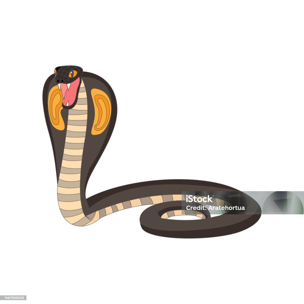 Snake Animal Animation Isolated Snake Animated Animals Vector Illustration Stock Illustration ...