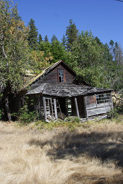 Rustic Cabin stock photo