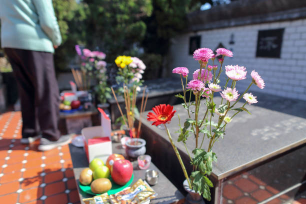 Tomb Sweeping Day-Qingming Festival