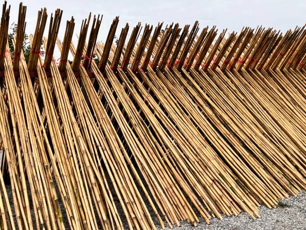 Bamboo lean for drying stock photo