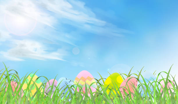 illustrations, cliparts, dessins animés et icônes de aquarelle oeufs de pâques décorés dans l’herbe sur ciel bleu - decoration eggs leaf easter
