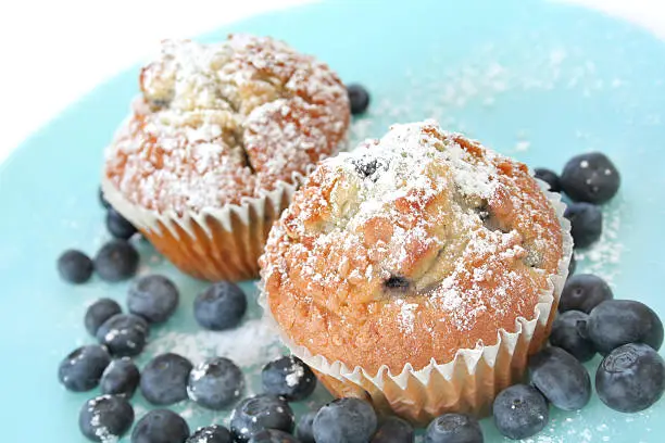 Blueberry muffins sprinkled with powder sugar on a blue plate along with fresh blueberries.
