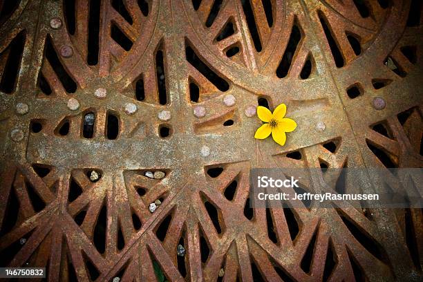 Foto de Urban Flor De e mais fotos de stock de Amarelo - Amarelo, Cidade, Flor