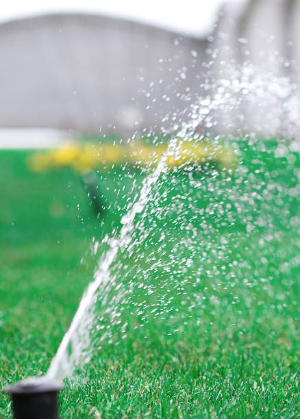 istock World of Sprinklers 146750868