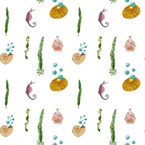 ilustrações, clipart, desenhos animados e ícones de cavalo marinho concha algas bolhas padrão de aquarela - label travel san diego california california