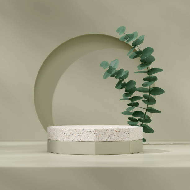 istock Terrazzo texture podium in square sage wall and eucalyptus leaf 3D render mockup space 1467510420