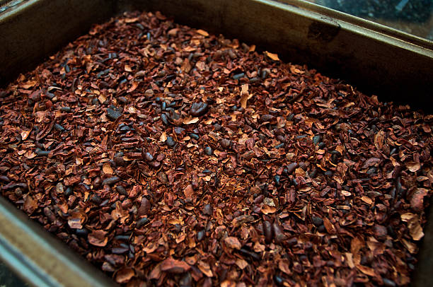 Crushed, roasted cocoa beans with husk in a pan stock photo