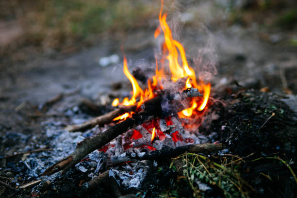 istock Bonfire in winter , Burning fire against the cold morning wind. 1467515212