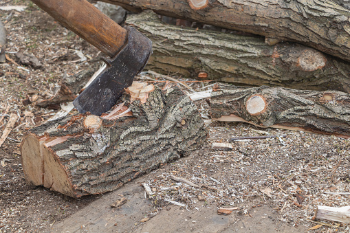 Sharp and Rustic: An Ax Embedded in Wood.