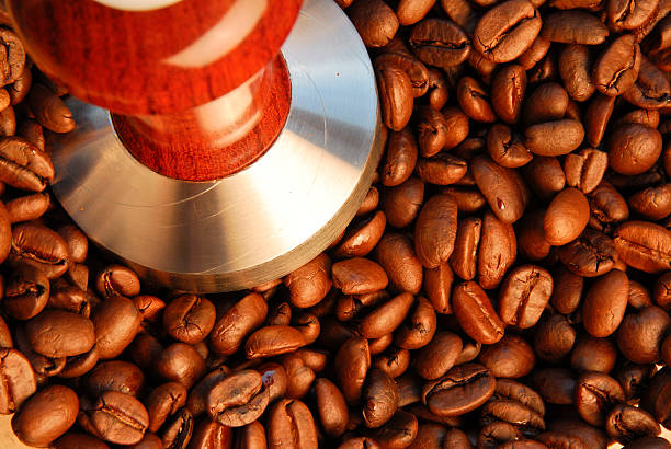 roasted coffee beans and espresso tamping press stock photo