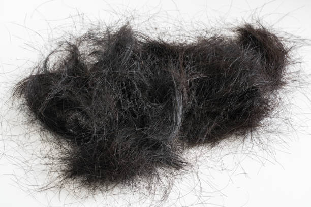 istock black hair on white background 1467517520